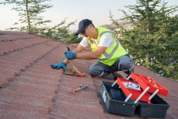 Best Roof Replacement Cost  in Desnso, CA